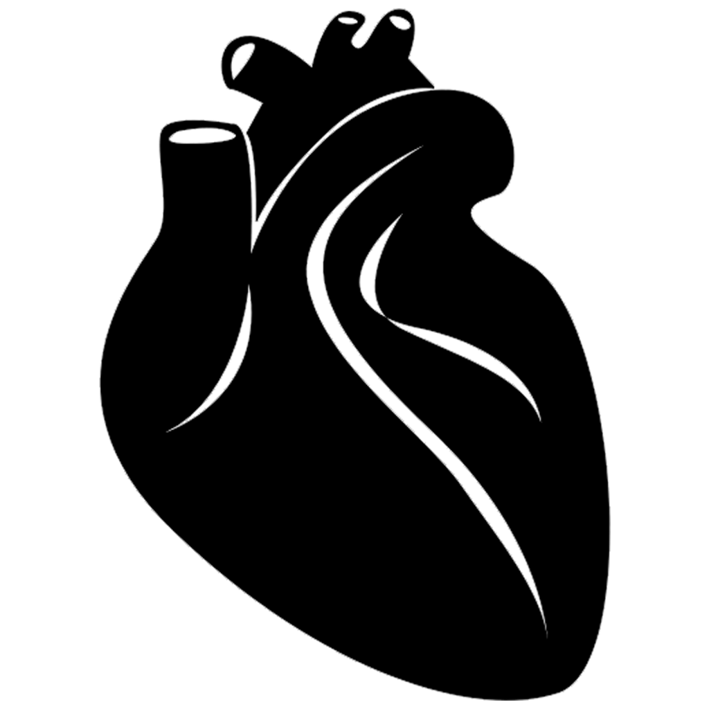 Cardiology